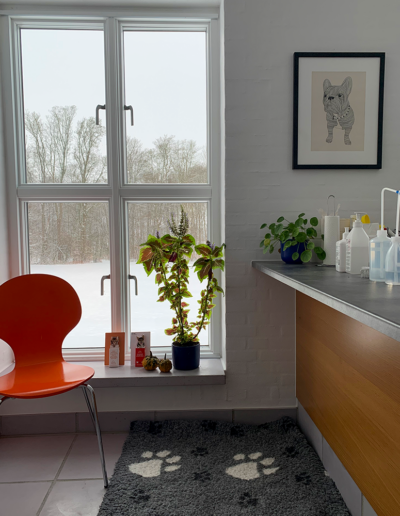 Den midlertidige klinik i hovedbygningen - dyrlægen på allingskovgård.